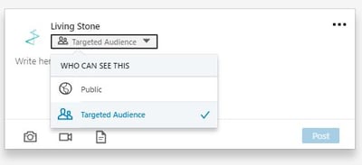 Target audience LinkedIn